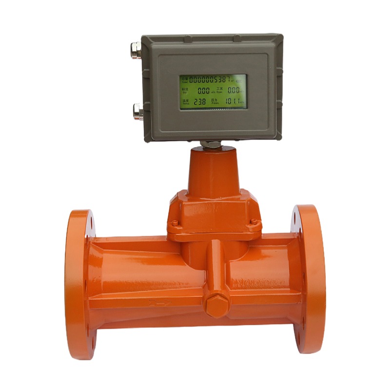 Choosing the Right LPG Flow Meter: A Buyer's Guide for Optimal ...