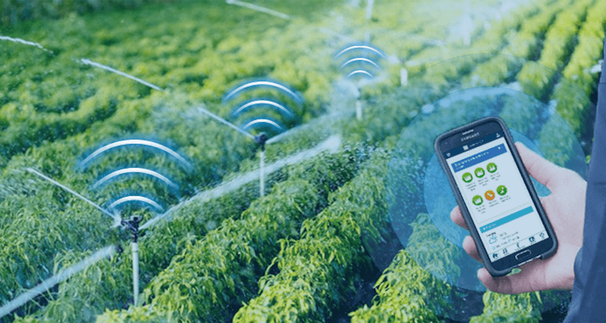 Innovating Agriculture: An In-depth Look At Smart Irrigation Systems ...