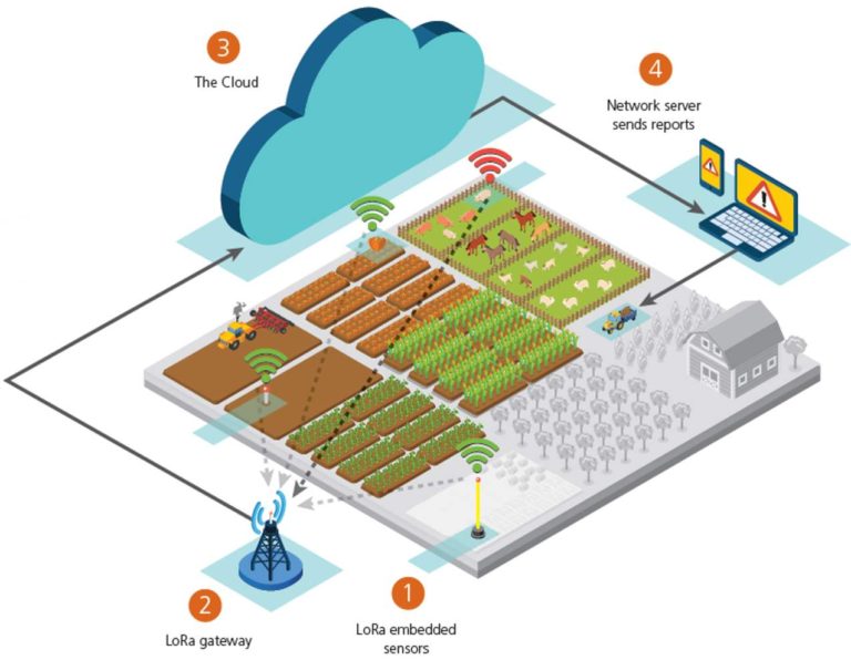 Design of agricultural greenhouse IOT monitoring system - SenTec