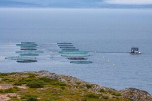 fish farming, norway, sea, fishing industry, aquaculture, nature, ocean